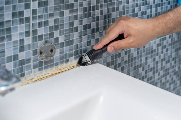 Best Emergency Mold Removal  in Adamsville, AL